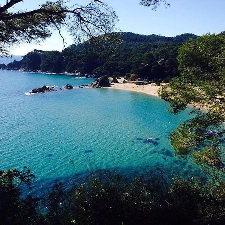 Appartements Les Pesquiers Hyeres Plage Εξωτερικό φωτογραφία