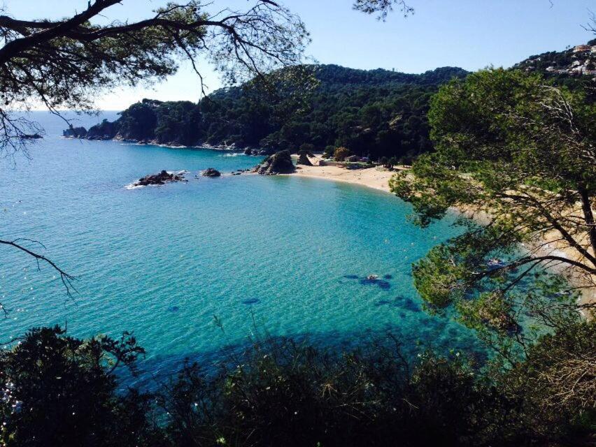 Appartements Les Pesquiers Hyeres Plage Εξωτερικό φωτογραφία